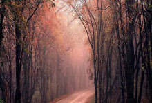 球队战术训练全力进行，备战强敌