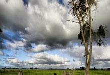 西班牙球迷期待国家队的胜利