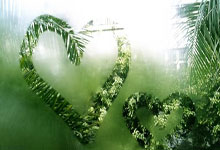 尼斯遭遇剧烈反扑，晋级梦想渐行渐远