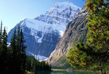 热刺顽强逆转，晋级前景大利