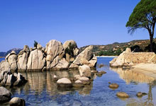 尼斯遭遇剧烈反扑，晋级梦想渐行渐远